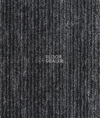 Ковровая плитка Shared Path на акустической основе Echo Acoustic 989 фото 1 | FLOORDEALER